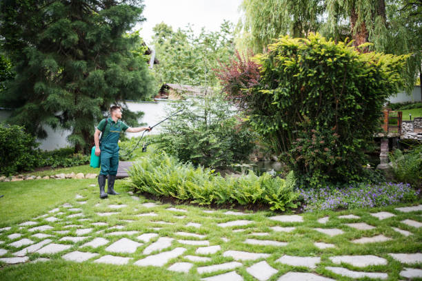 Best Mosquito Control Services  in Magnolia, OH